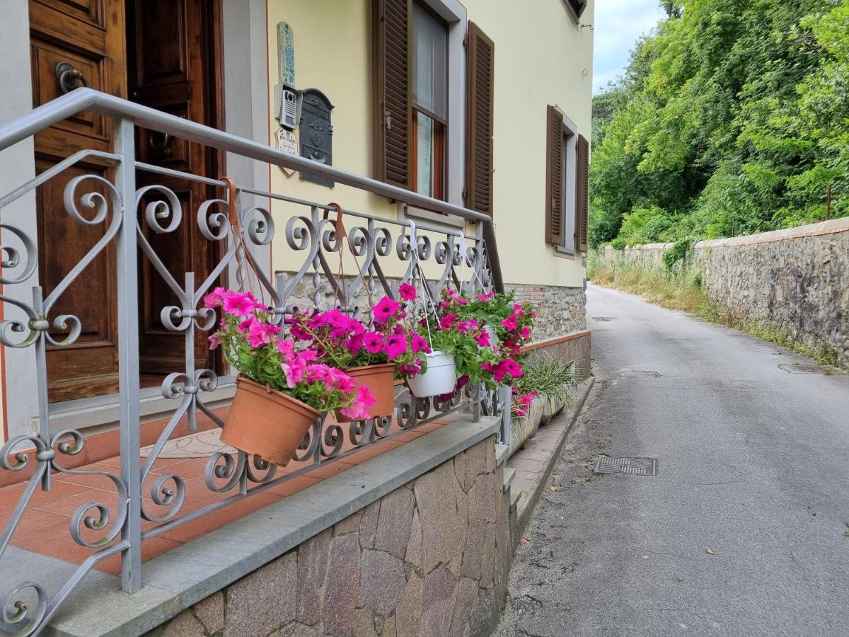 Bed and Breakfast A Collodi Io & Mamma Zewnętrze zdjęcie